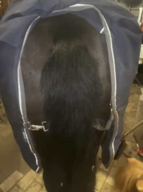 Staart na gebruik anti-schuur 