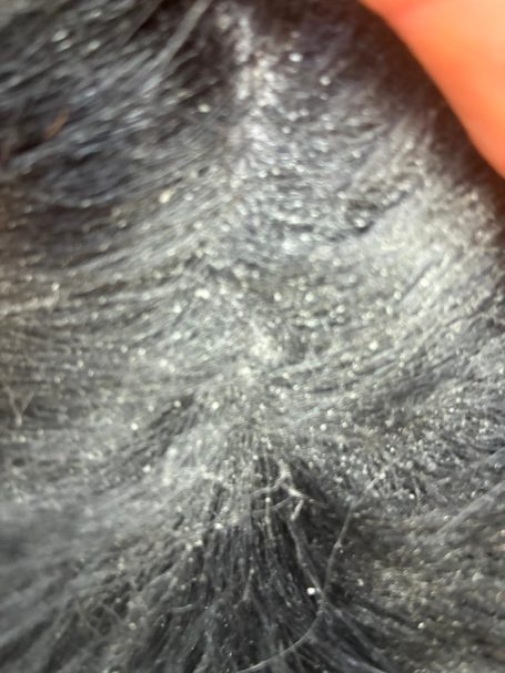 Staart voor gebruik anti-schuur